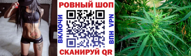Конопля Котлас
