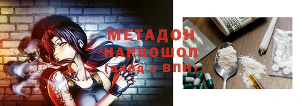 гидра Вязьма