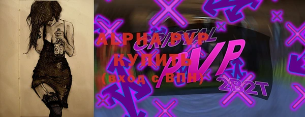гидра Вязьма