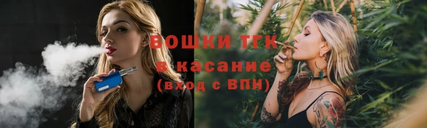 ГАЛЛЮЦИНОГЕННЫЕ ГРИБЫ Вяземский