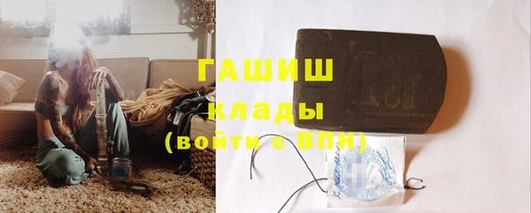 гидра Вязьма