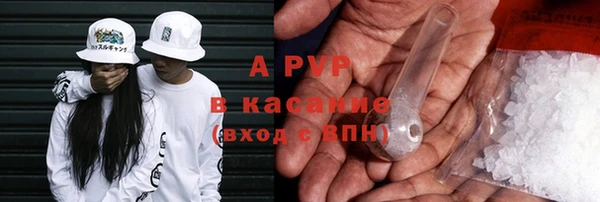 ГАЛЛЮЦИНОГЕННЫЕ ГРИБЫ Вяземский