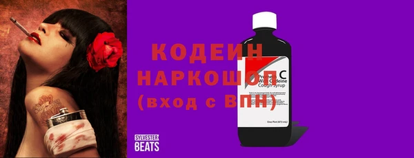 гидра Вязьма