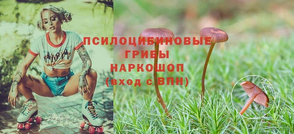 гидра Хадыженск