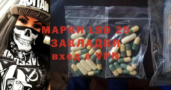 ГАЛЛЮЦИНОГЕННЫЕ ГРИБЫ Вяземский