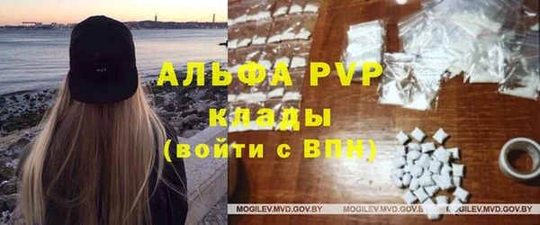 гидра Вязьма