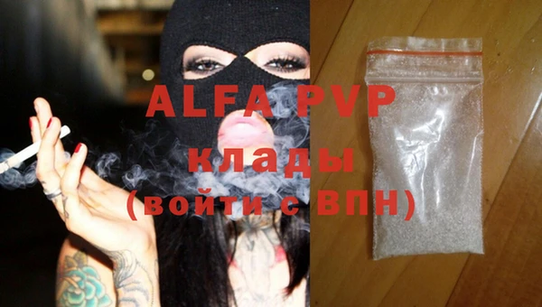 гидра Вязьма