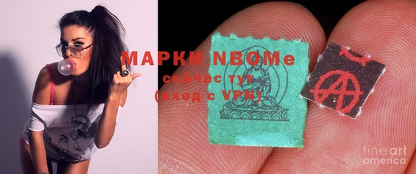 гидра Вязьма