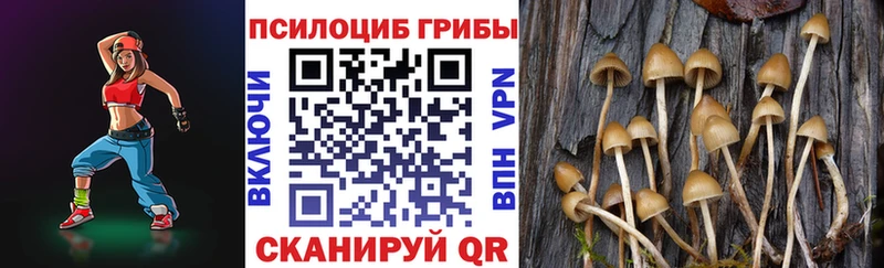Псилоцибиновые грибы Magic Shrooms  гидра сайт  Котлас  где продают наркотики 